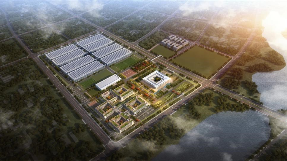 1666157675117950.jpg 11.jpg