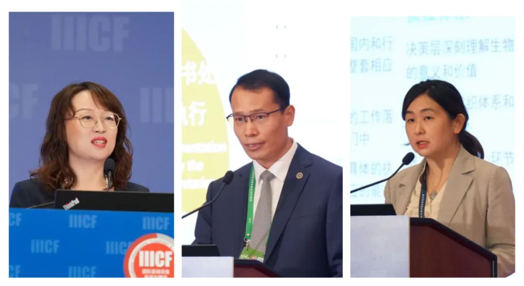 1685925238376743.jpg p007.jpg